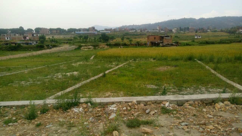 तीन वर्षपछि खुल्यो कित्ताकाट