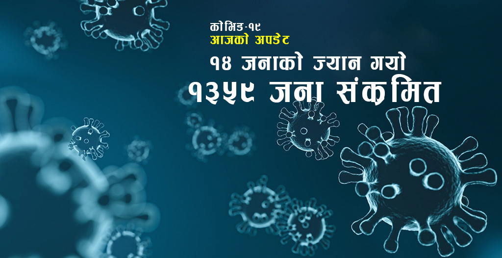 पछिल्लाे २४ घण्टामा थप १४ जनाकाे ज्यान गयाे