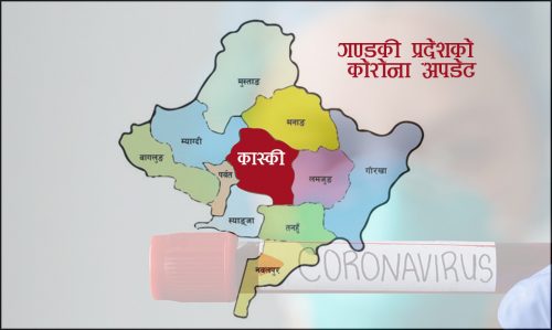 गण्डकी प्रदेशमा सर्वाधिक संक्रमित कास्कीका