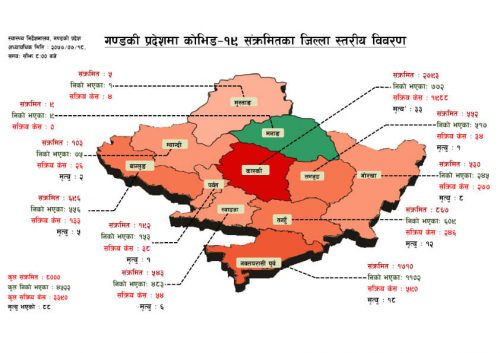 गण्डकी प्रदेशमा काेराेना संक्रमितकाे संख्या ८ हजार पुग्याे