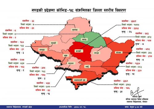 काेराेना अपडेट : गण्डकी प्रदेश र कास्कीकाे ताजा अवस्था यस्ताे