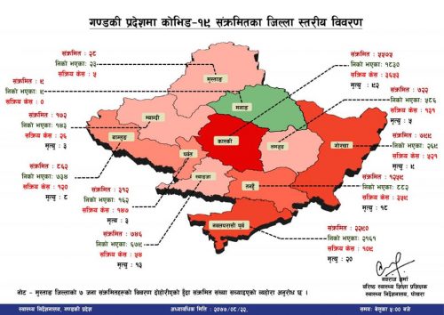 गण्डकी प्रदेश र कास्कीमा काेराेनाकाे ताजा अवस्था यस्ताे