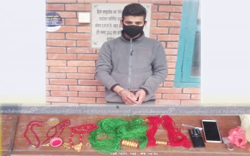 पोखरामा घर फोडेर सुनका गरगहना चोरी, पर्वतका शर्मा पक्राउ