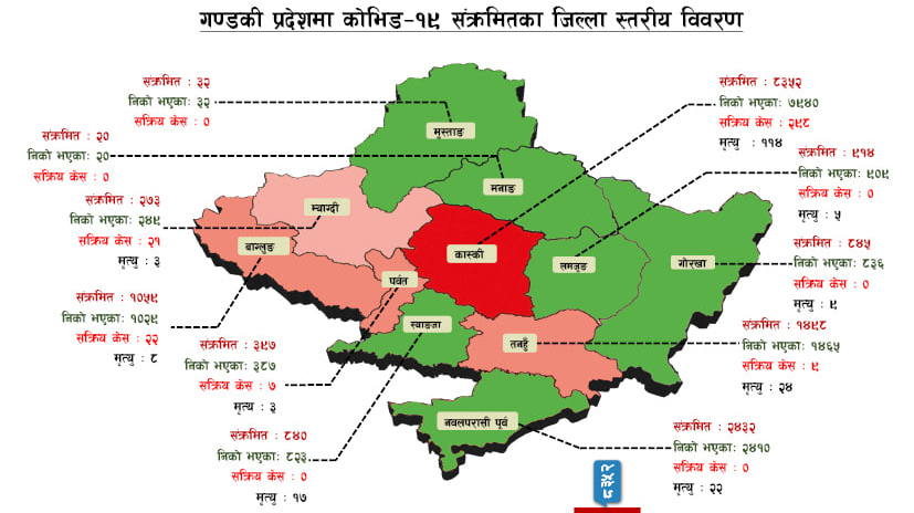 पोखरामा थप २४ जनालाई कोरोना पुष्टि, प्रदेशकाे पछिल्लाे अवस्था यस्ताे