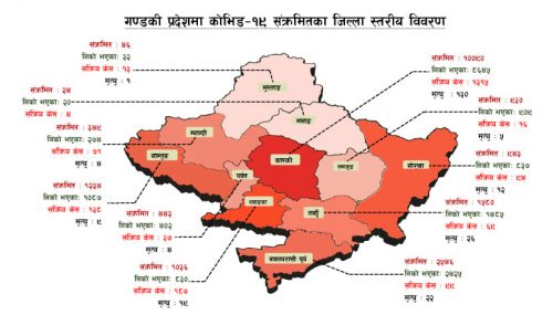 गण्डकीमा याे साता थप २१ काे ज्यान गयाे, १ हजार ४ सय ८४ जना संक्रमित थपिए