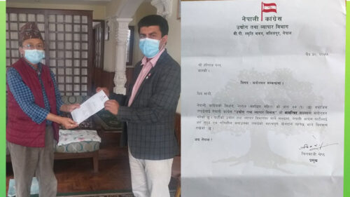 कांग्रेसकाे उद्योग तथा व्यापार विभागको सदस्यमा पन्त मनाेनित