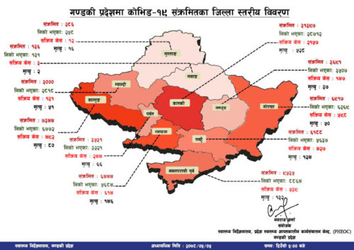 कास्कीमा यस्ताे छ काेराेनाकाे अवस्था