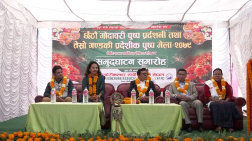 पोखरामा छैंटौं पुष्प  मेला सुरु