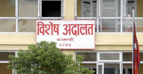 स्याउको बिरुवामै भ्रष्टाचार, विशेष अदालतमा मुद्दा