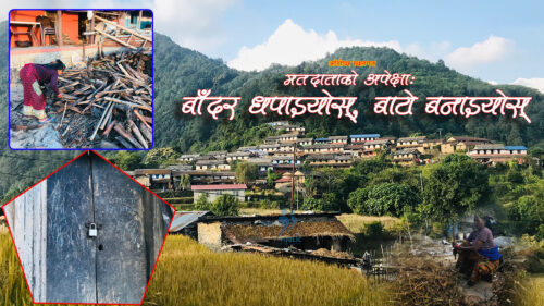 आँटीघरको अपेक्षाः बाँदर धपाइयोस्, सडक बनाइयोस्