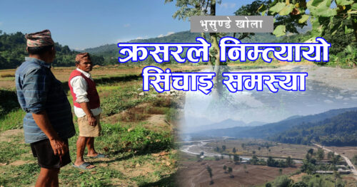 क्रसरले निम्त्याएको सिंचाइ समस्या