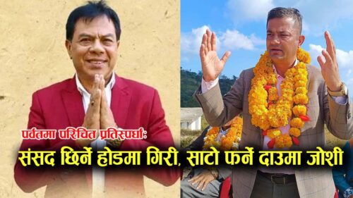 पर्वतमा परिचित प्रतिस्पर्धाः संसद छिर्ने होडमा गिरी, साटो फर्ने दाउमा जोशी