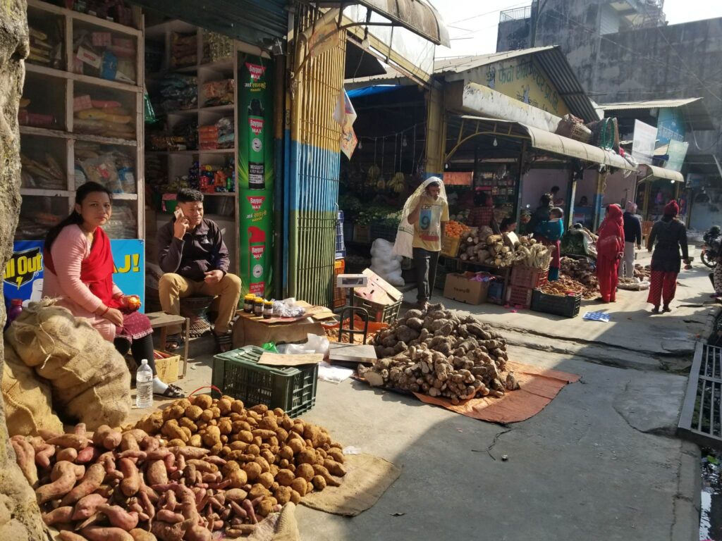 पोखरामा माघे संक्रान्तिका लागि भित्रियो ३५ मेट्रिक टन सखरखण्ड र तरुल