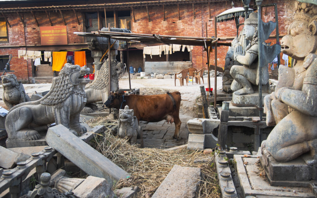 बेवारिसे सांस्कृतिक सम्पदाहरु