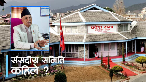 गण्डकीमा ‘मिनी संसद’ गठनमा ढिलाइ (भिडियो)