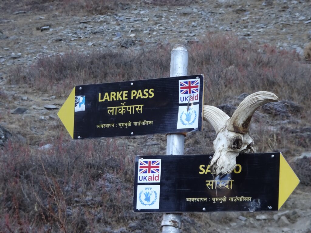 गोरखामा हिउँमा फसेका २ जनाको उद्धार