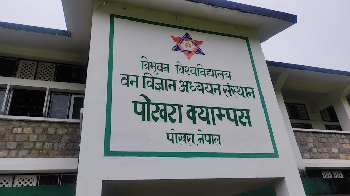 वन विज्ञानमा आइतबार स्ववियु निर्वाचन