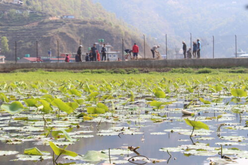 सिमासार क्षेत्र कमलपोखरीमा डुबान रोक्न पहल