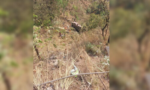 पाल्पाको जोरधारामा बस दुर्घटना, १ महिलाको मृत्यु