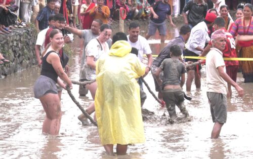 आज राष्ट्रिय धान दिवस, पोखरामा असारे रोपाइँ महोत्सव