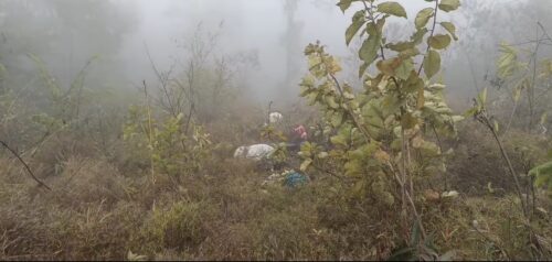 भीमाद दुर्घटनाः घाइते १ जनाको मृत्यु