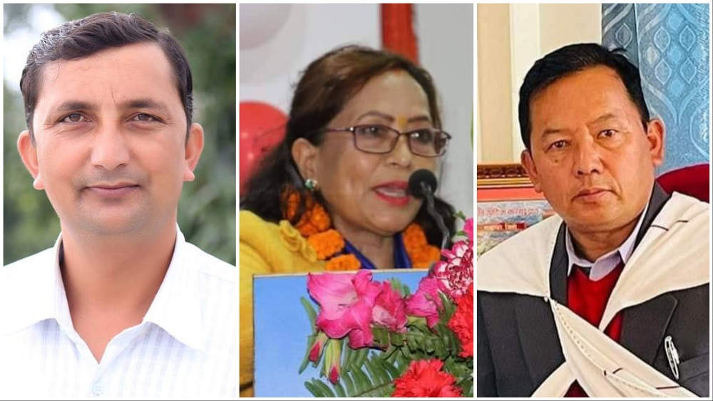 प्रेस चौतारी पत्रकारिता पुरस्कार माधव बराललाई