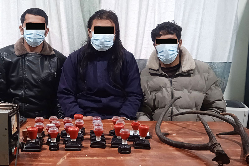 विभिन्न सरकारी नक्कली छाप र जंगली जनावरको सिङसहित तीन जना पक्राउ