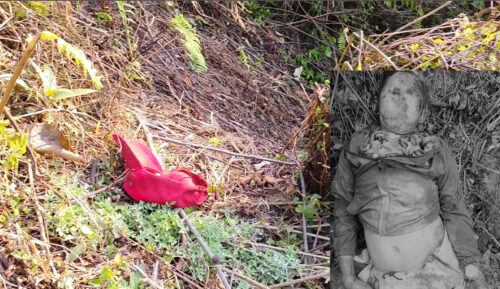 श्रीमानको हत्या गर्न श्रीमतीकाे सुपारी, सिन्धुपाल्चोकबाट सिक्लेस ल्याएर हत्या !