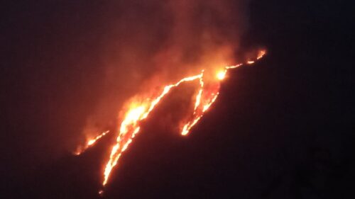 आगो निभाउने क्रममा जलेर एक जनाको मृत्यु, दुई घाइते
