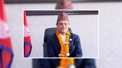 डीपी अर्याललाई रास्वपा कार्यवाहक सभापतिको जिम्मेवारी