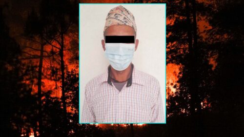 मराम्चेको वनमा आगो लगाउने व्यक्ति पक्राउ