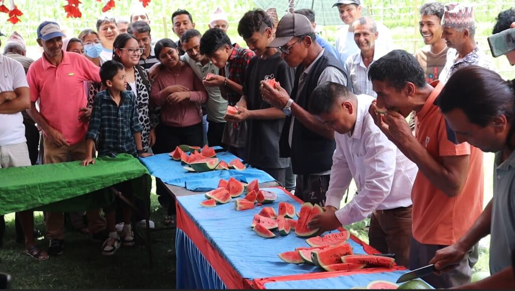 पोखरामा तर्बुजा खाने प्रतिस्पर्धा !
