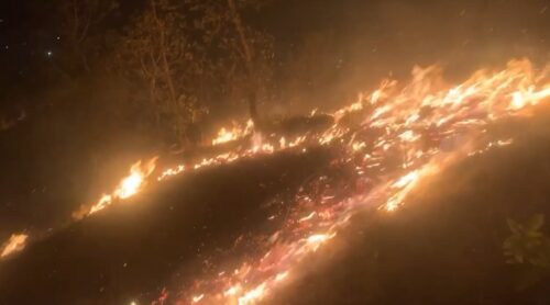 देशभर आगलागी र वन डढेलोको समस्या विकराल बन्दै