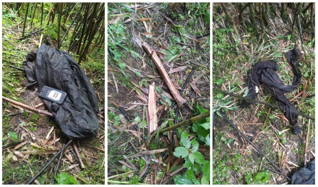 मर्दीमा मानव कंकाल फेला, वेपत्ता स्विडेनका लिउको भएको पुष्टि