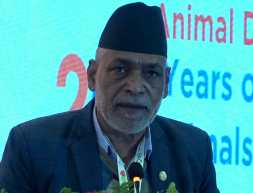 कुल गार्हस्थ्य उत्पादनमा पशुपालन क्षेत्रको योगदान महत्वपूर्णः कृषिमन्त्री अधिकारी