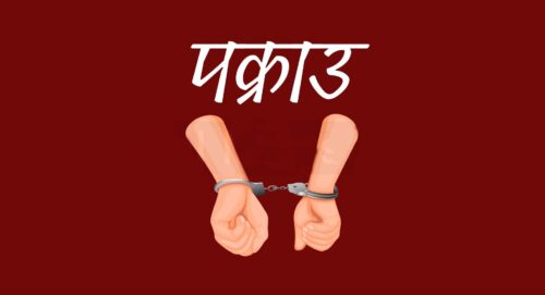 पोल्याण्ड पठाउने भन्दै तीन लाख बढी ठगी गर्ने महिला पक्राउ 