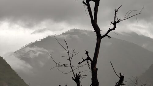 गण्डकीका केही भूभागमा वर्षाको सम्भावना
