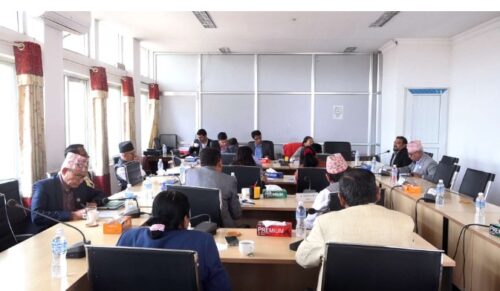 विधायन व्यवस्थापन समितिको बैठक आज बस्दै