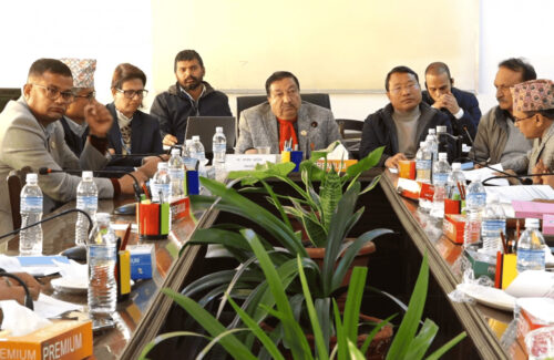 सुरक्षित कारोबार ऐनलाई कार्यान्वयनयोग्य बनाउनुपर्नेमा सांसदहरुको जोड