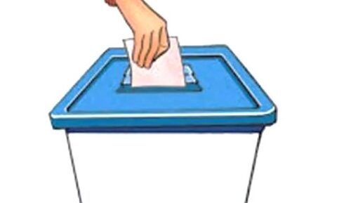 स्थानीय तह उपनिर्वाचन :  मतदान जारी