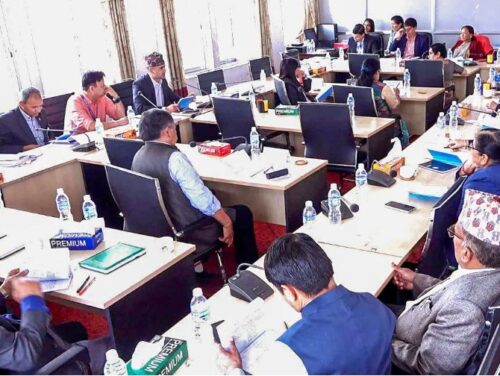 प्रत्यायोजित विधायन समितिको बैठक बिहान ११ बजे बस्दै