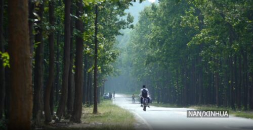 भारतको वन, रुखको क्षेत्र ३ वर्षमा १ हजार ४४५ वर्ग किलोमिटरले बढ्यो