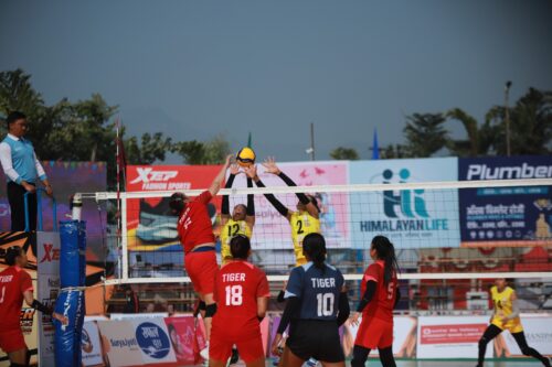 टाइगर कप भलिबलः महिलातर्फ आयोजक र एपिएफले पहिलो क्वालिफायर खेल्ने