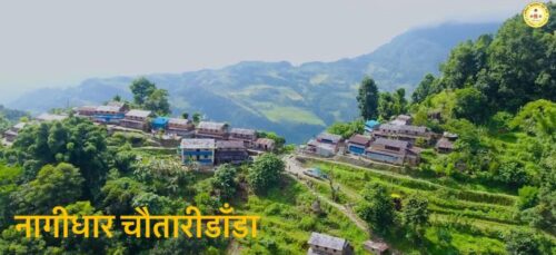 कास्कीको मादी गाँउपालिका नागीधार गाँउमा हुने नागीधार महोत्सवको तयारी तिव्र