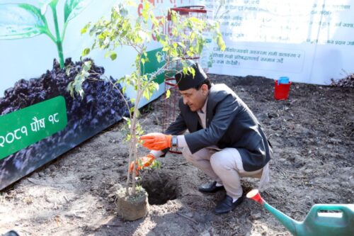 ग्लोबल आइएमई बैंकको १८औँ वार्षिकोत्सवको अवसरमा १८ हजार बृक्षारोपण गर्ने घोषणा