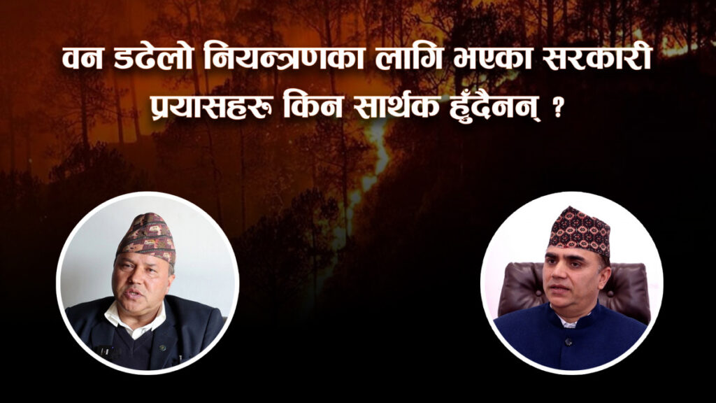 मानिसहरु जानाजान डढेलो लगाउँछन्, कडा कारबाही गर्नुपर्छ