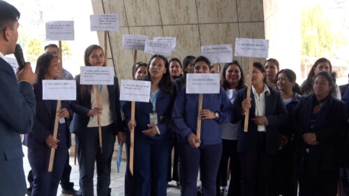 नेपाल नागरिक उड्डयन प्राधिकरण विधेयक, २०८१ फिर्ता लिन माग गर्दै प्रदर्शन