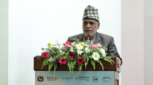 याक र चौँरी नेपालको पहिचान र गौरव हुन्ः कृषिमन्त्री अधिकारी
