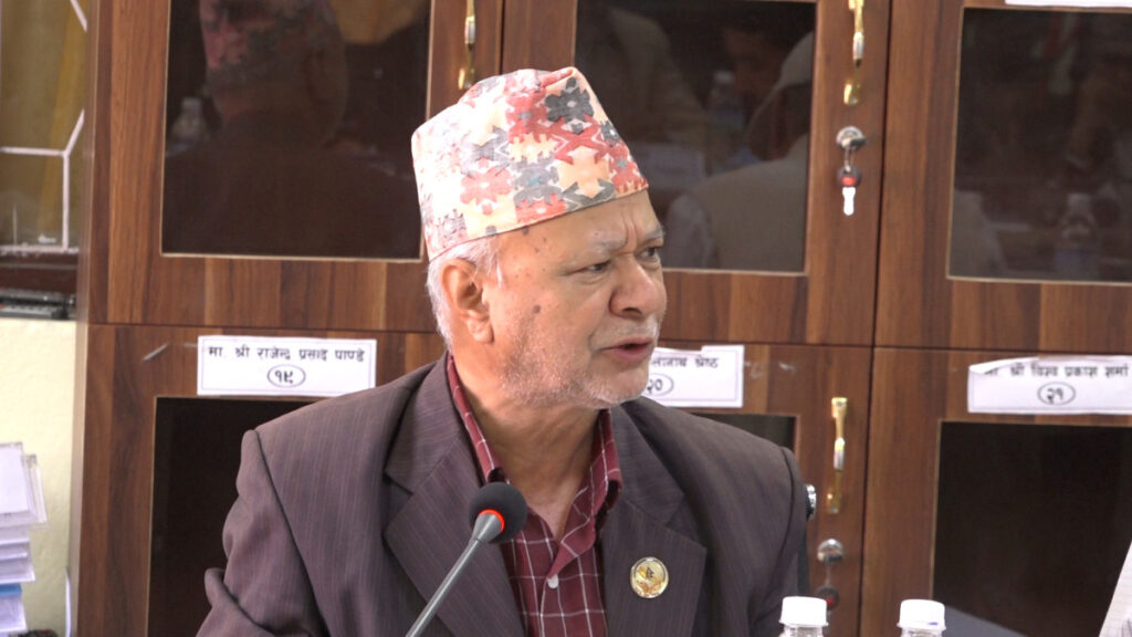 शिक्षामन्त्रीमा एमाले सांसद रघुजी पन्त