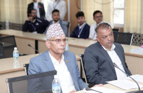 कर्मचारीको राजनीतिक सम्बन्ध तोड्न कम्तिमा दुई वर्ष ‘कुलिङ पिरियड’ राख्नैपर्छः सांसद थानी